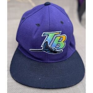 Cooperstown Tampa Bay Devil Ray Vintage Custom Snapback American Needle